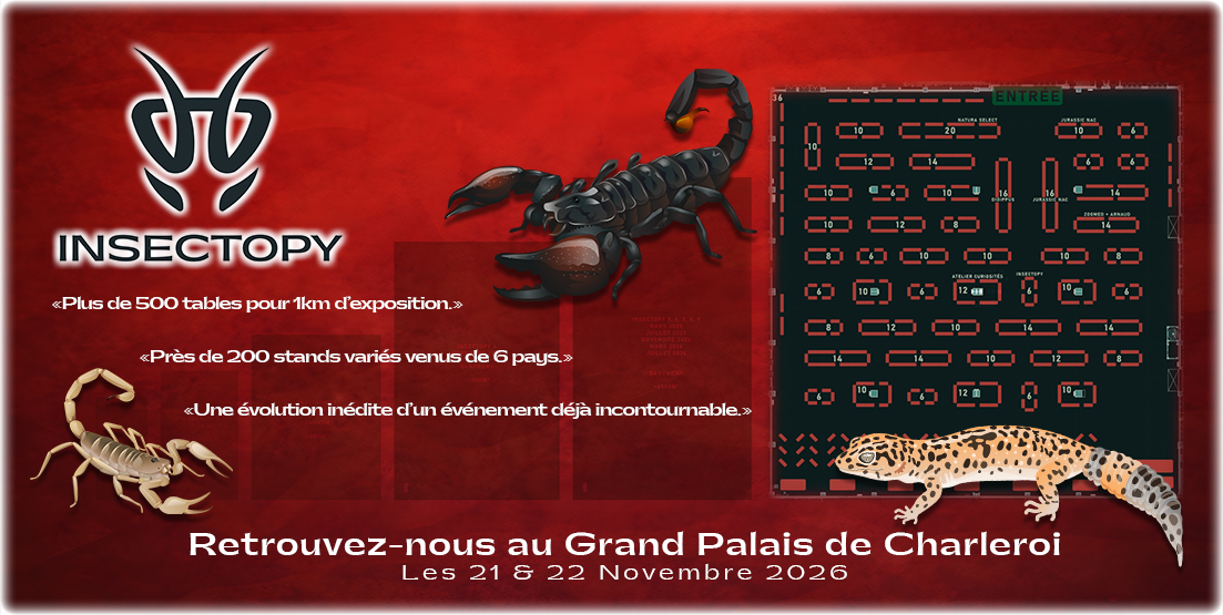 INSECTOPY
